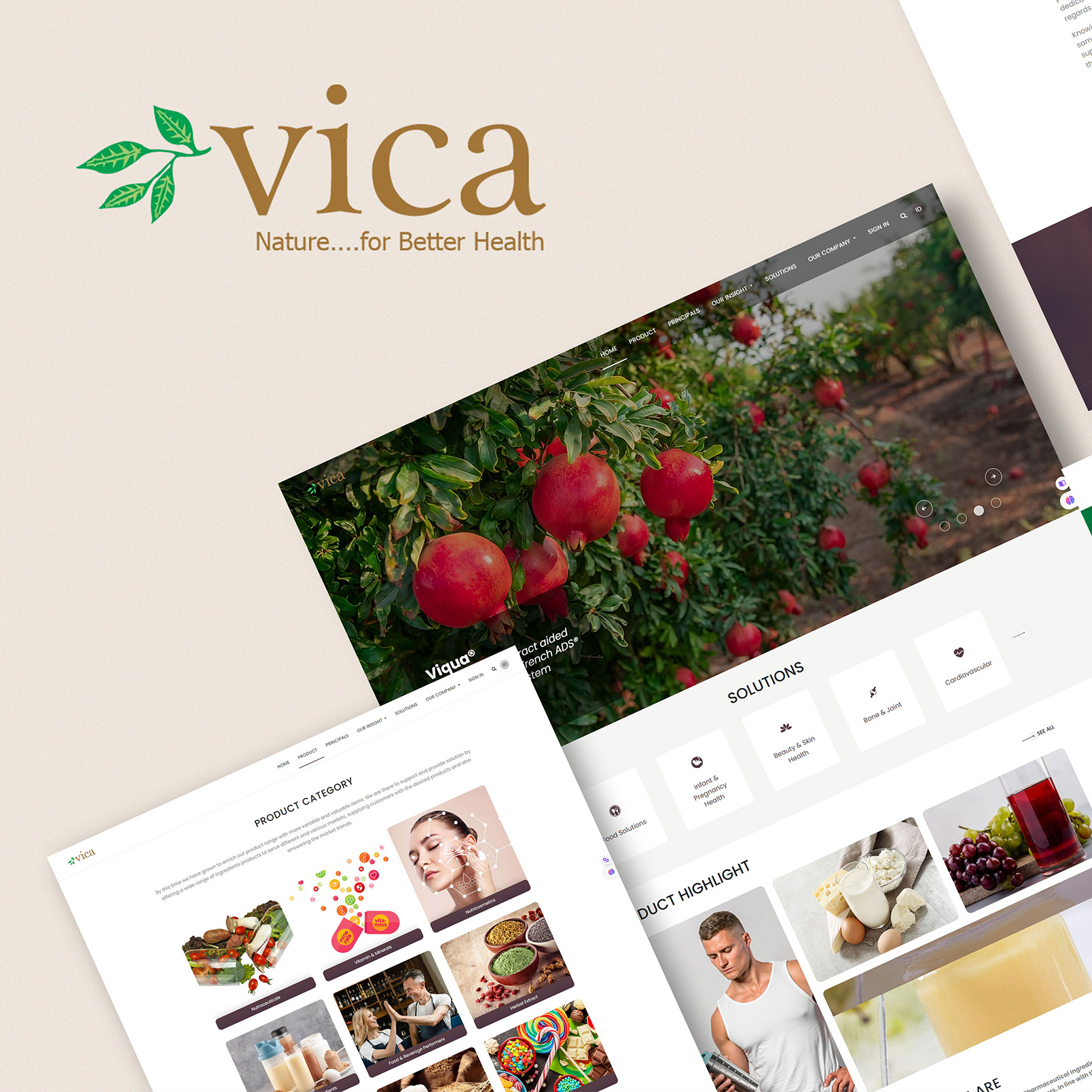 Portfolio Gerai Jasa Pembuatan Website (Vica - Website Suplier F&B dan Farmasi)